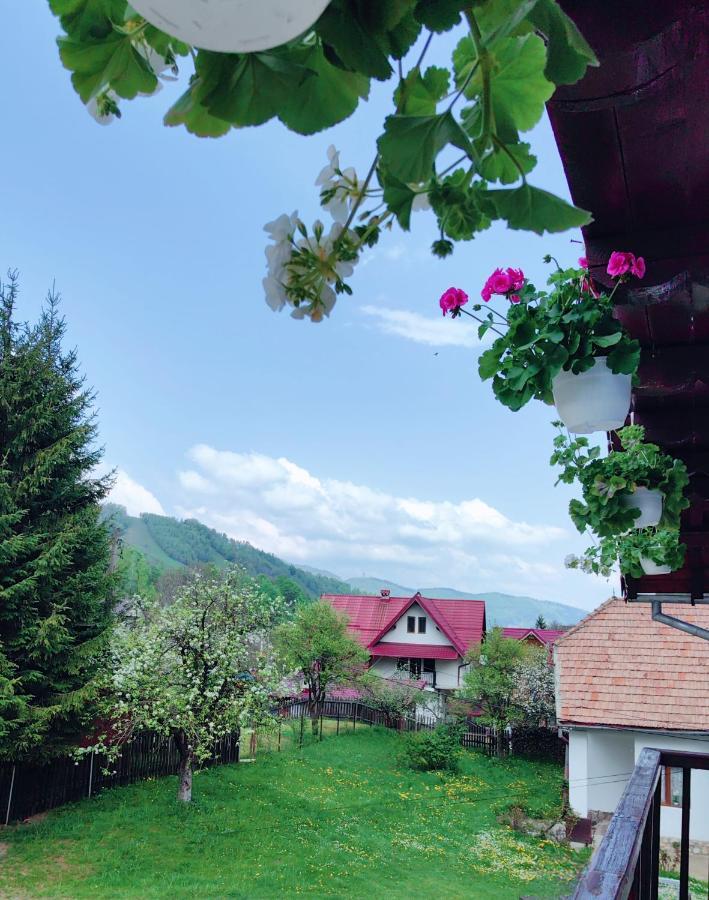 Voinescu House - Natural Living & Eating Simon Exterior foto